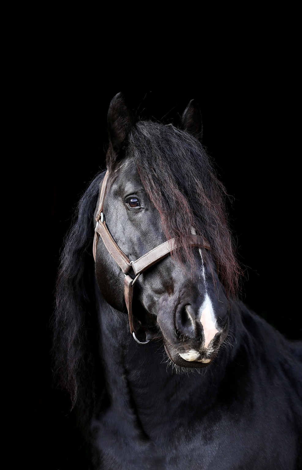 Für euch eine Aktion zum Jahresbeginn