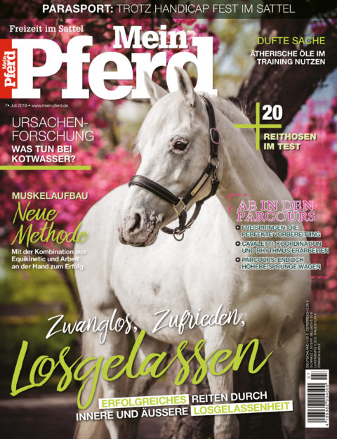 Neuer Artikel in „Mein Pferd“
