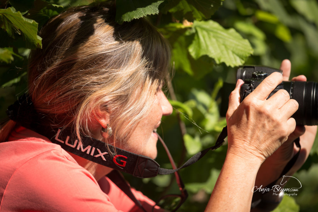 Kundin beim Personal Coaching Pferdefotografie