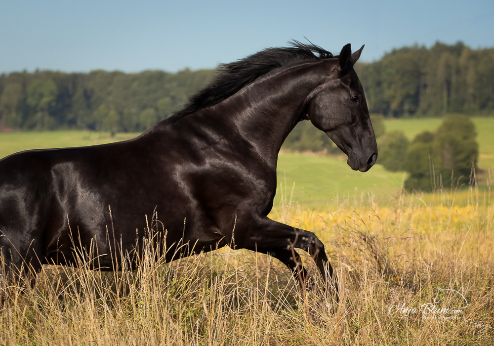Enorm wichtig für uns Einzelunternehmerinnen – Feedback
