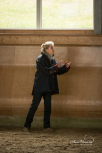 Stückelberger im Interview bei Anja Blum Pferdefotografie