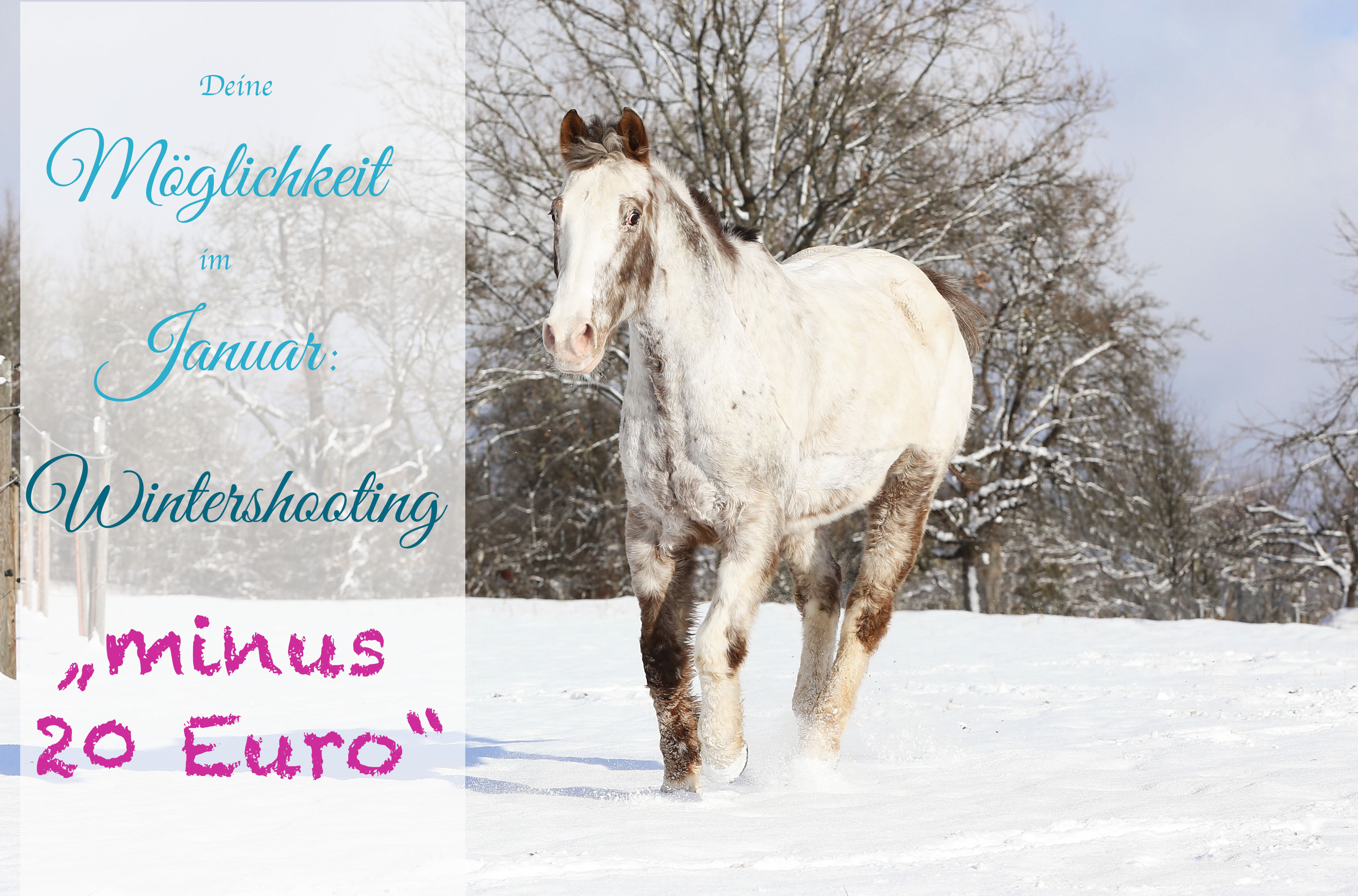 Januar-Aktion „minus 20 Euro“