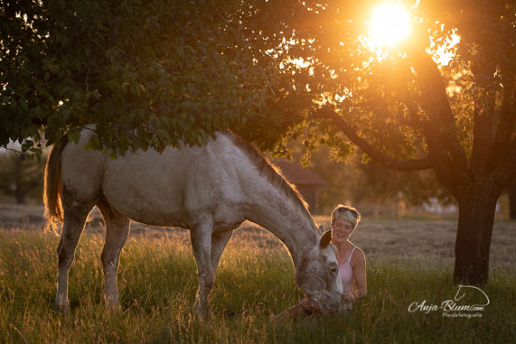 Pferdefotografie bei Sonnenaufgang im Freien