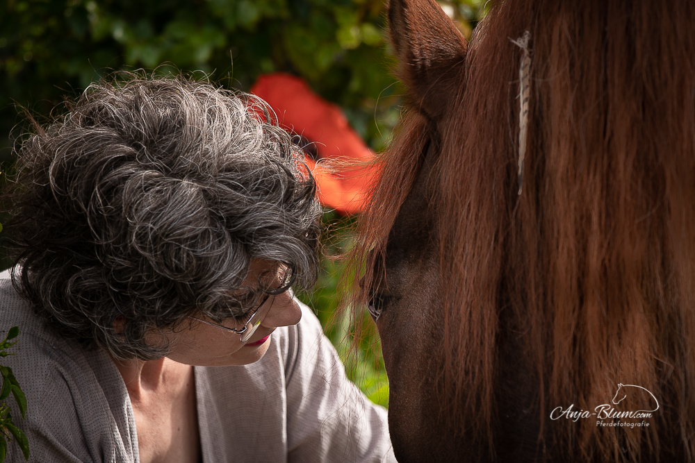 Aus dem Leben einer Pferdefotografin …