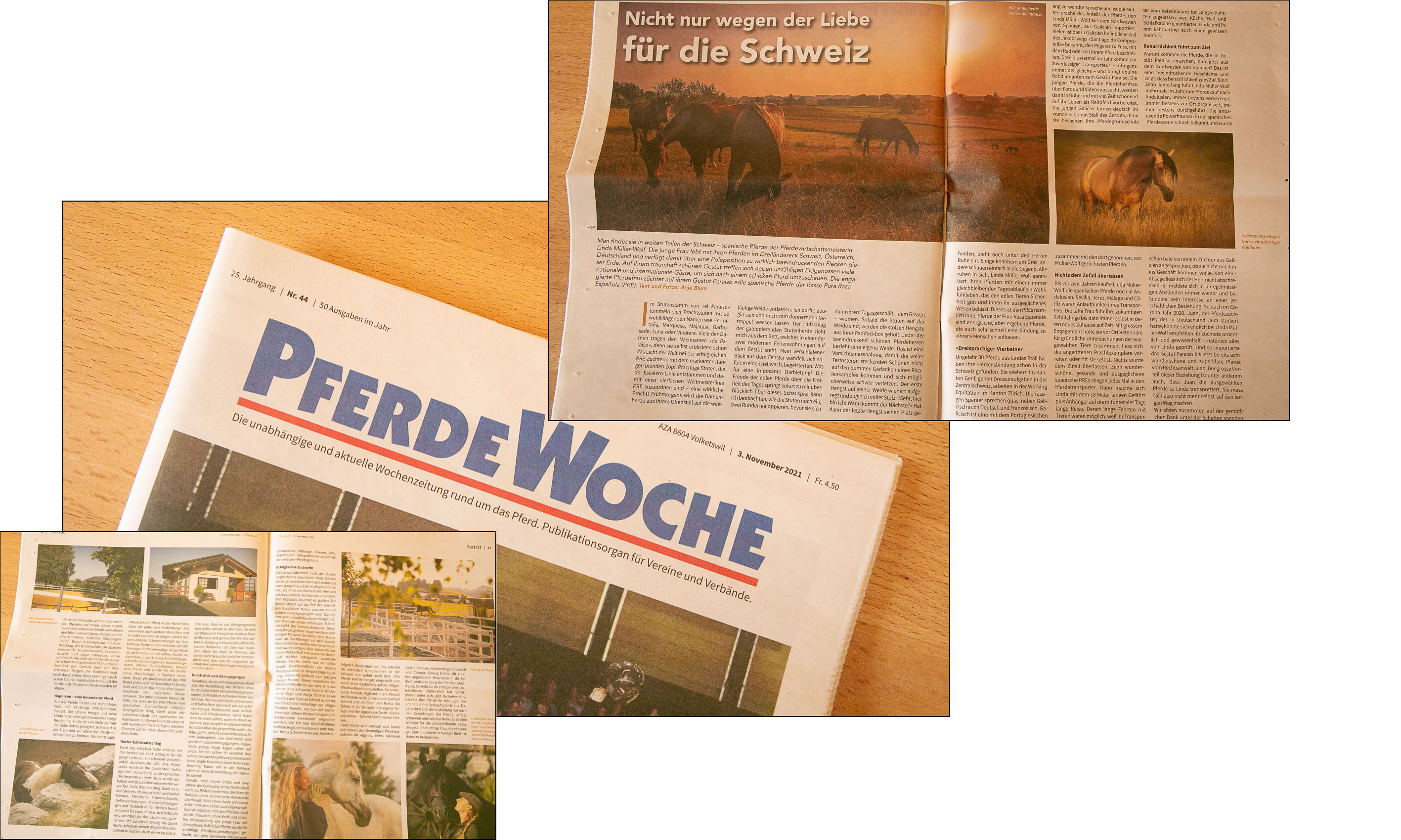 Schweizer PferdeWoche Nr. 44/2021 – Portrait von Linda und ihrem Gestüt Paraiso