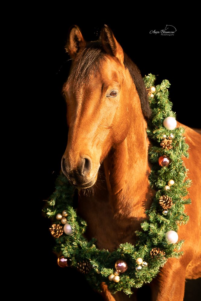 Colin Farell mit weihnachtskranz