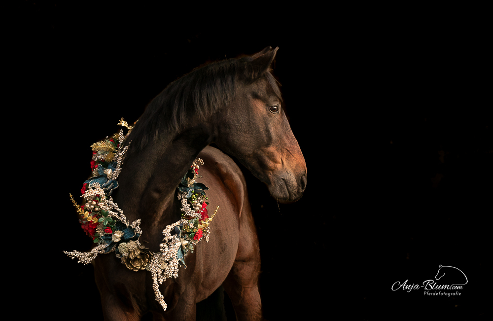 Frohe Weihnachten …