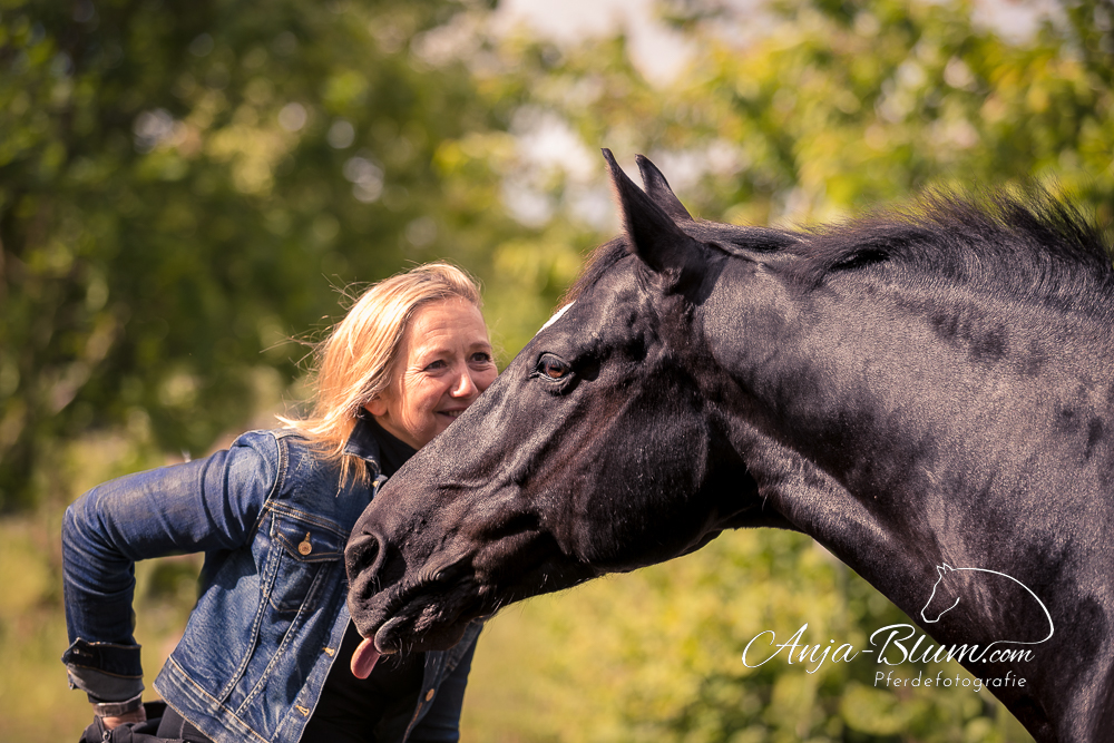 Anja Blum - Pferdefotografie