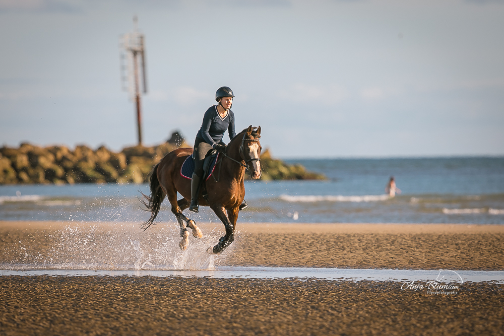 Verliebt in Irlands Charme …