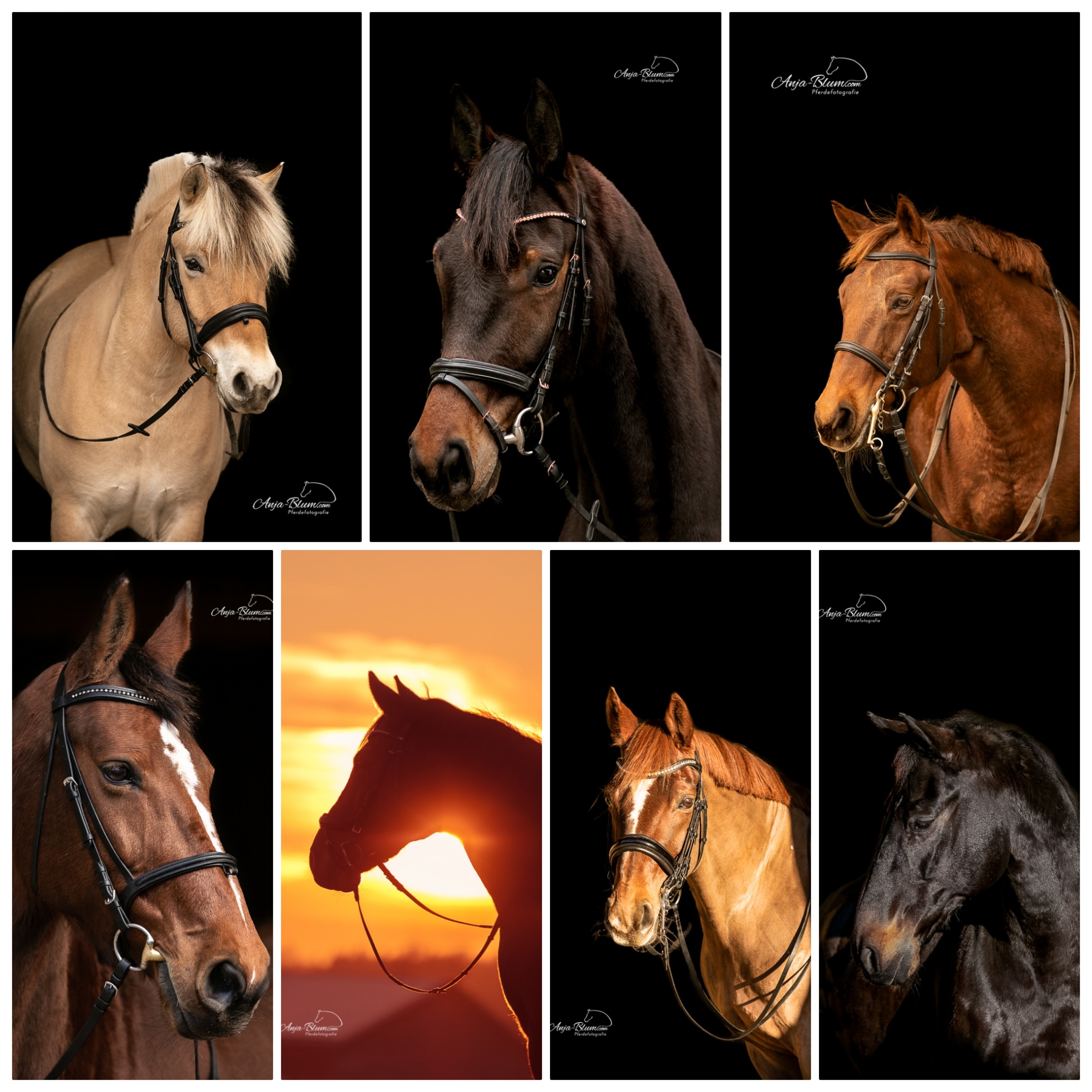 Shootingzeit kann immer sein 😎