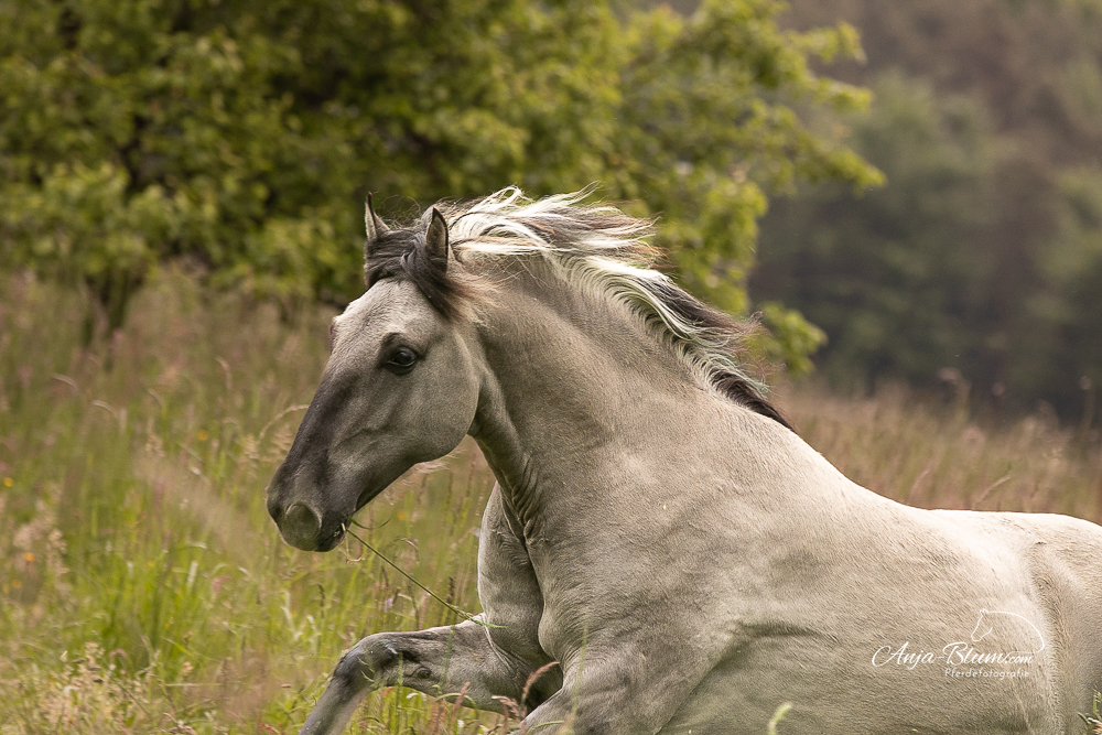 🌞 Aktion im August 🌞