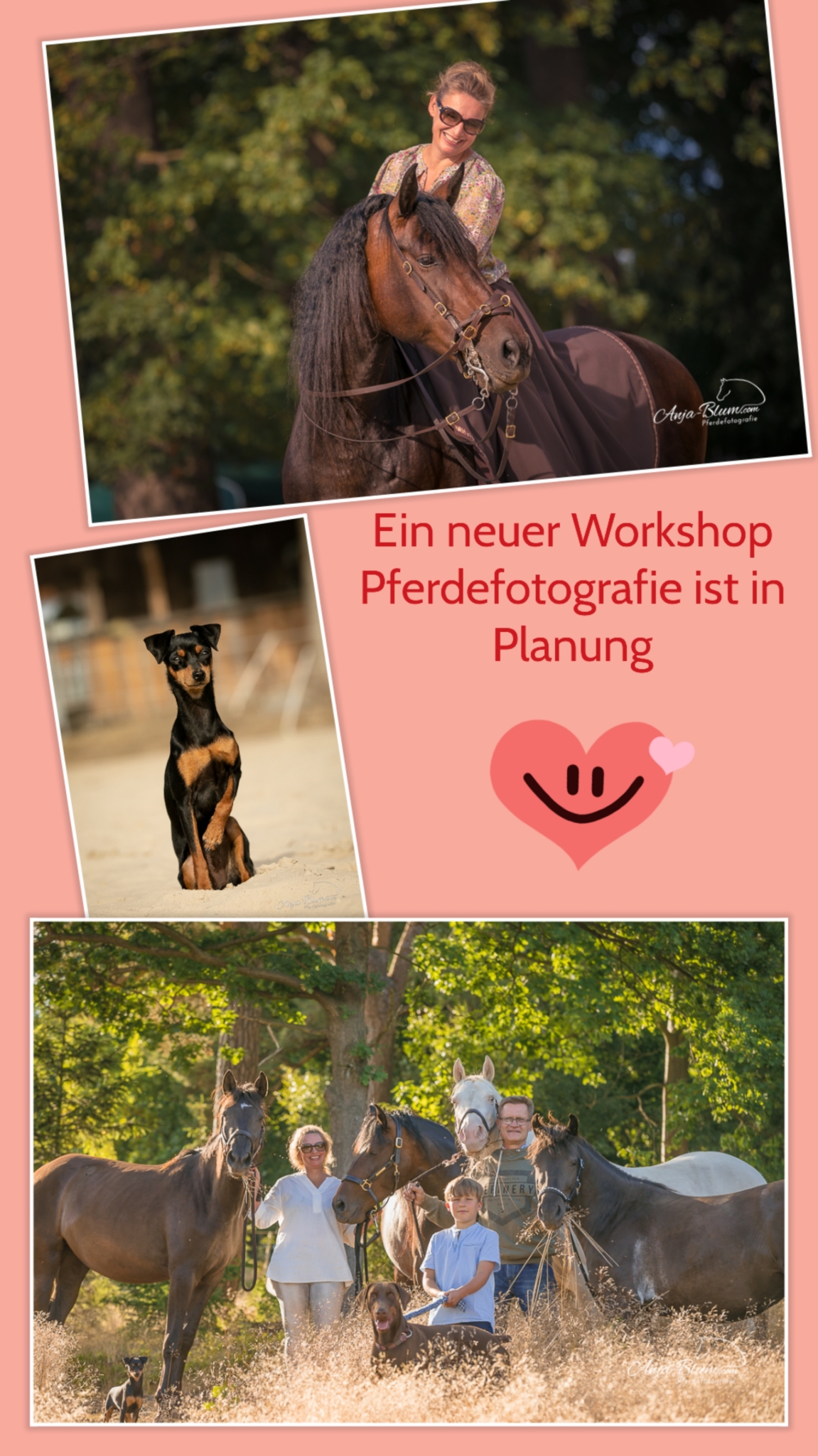Ein neuer Workshop Pferdefotografie ist in Planung 💕