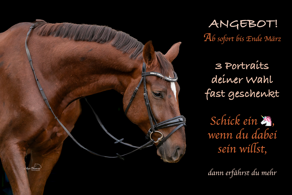 Das Winterende wird eingeläutet