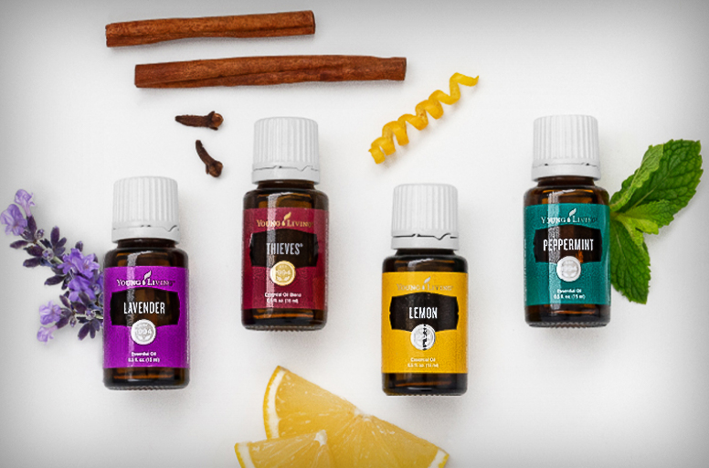 Den Pferden Gutes tun …